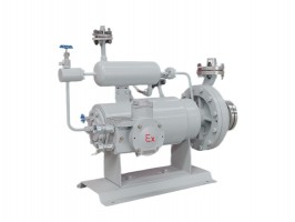 H型高温型屏蔽泵